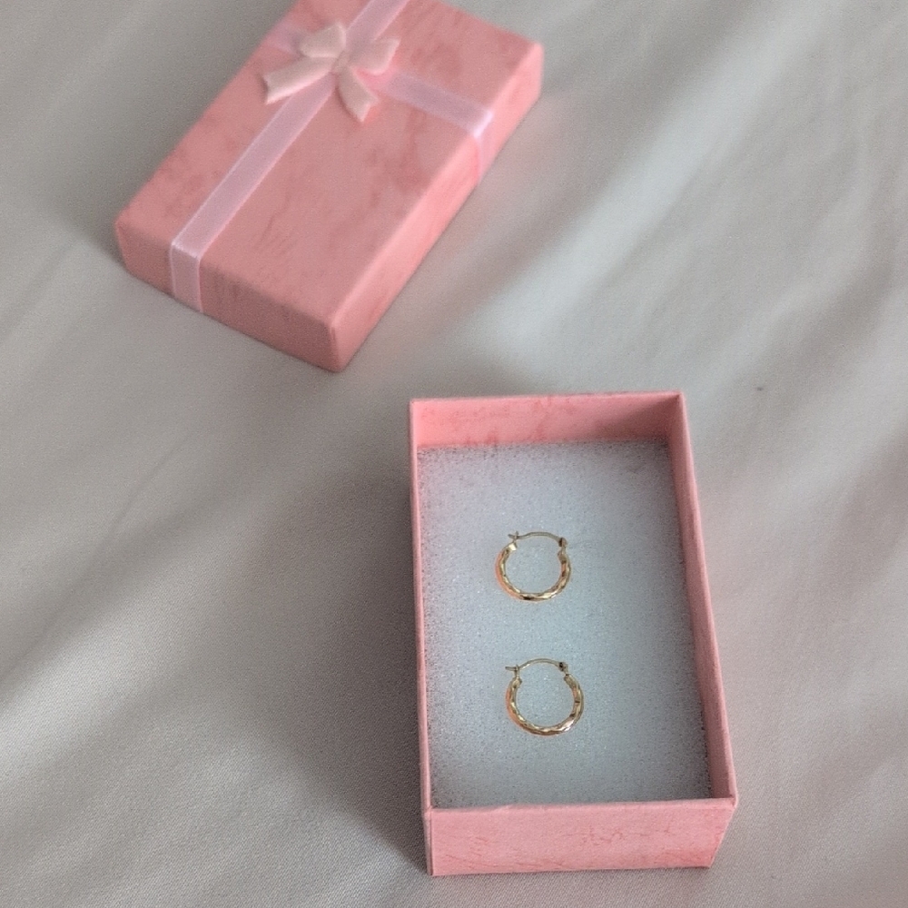 Elegant Gold Hoop Earrings